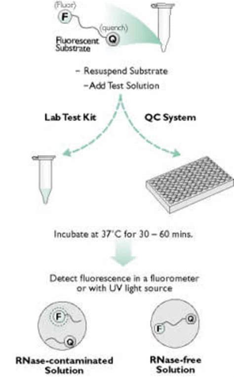 rnase control procedure